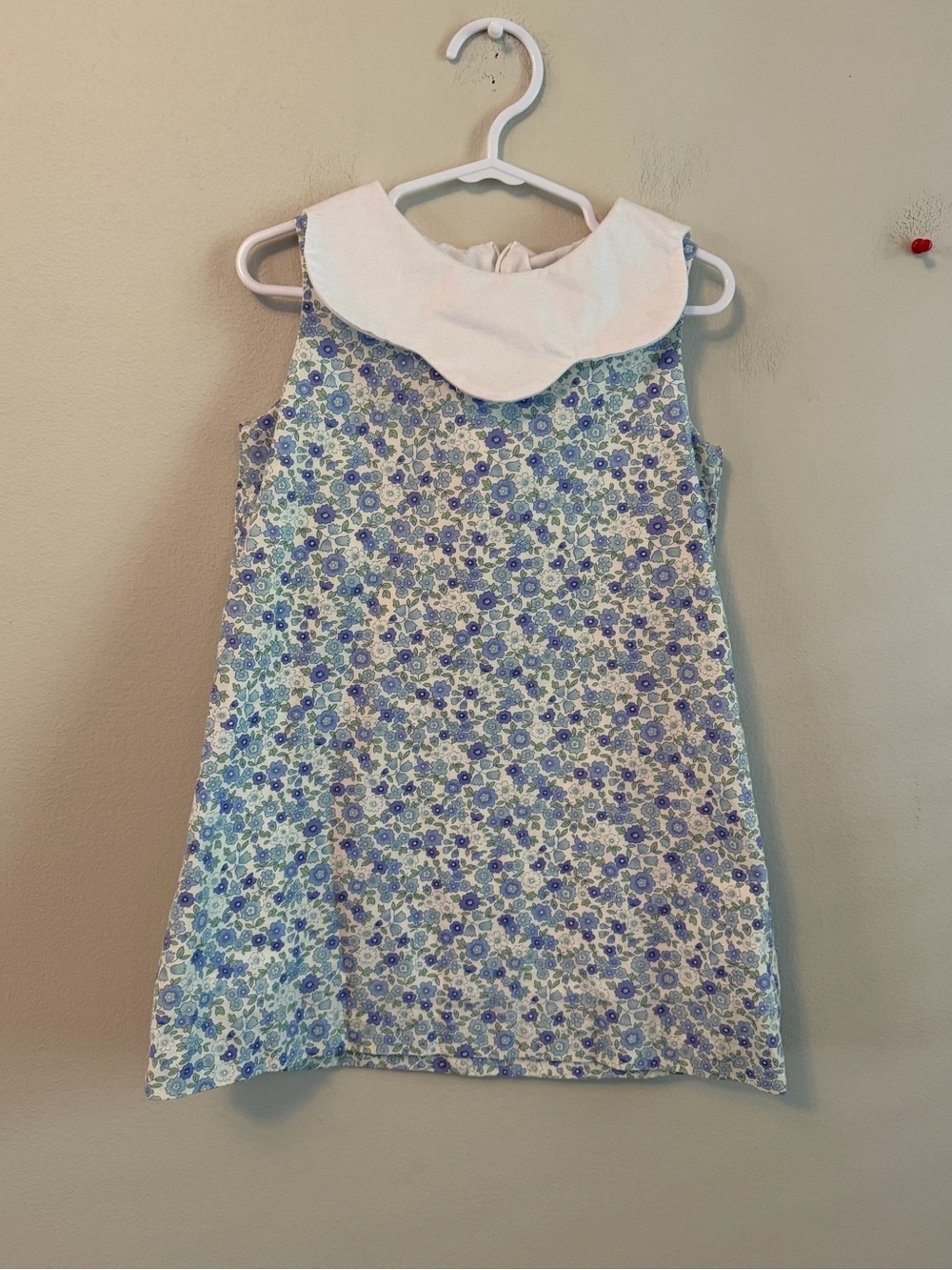 The Bailey Boys Sleeveless Floral Dress with White Peter Pan Collar